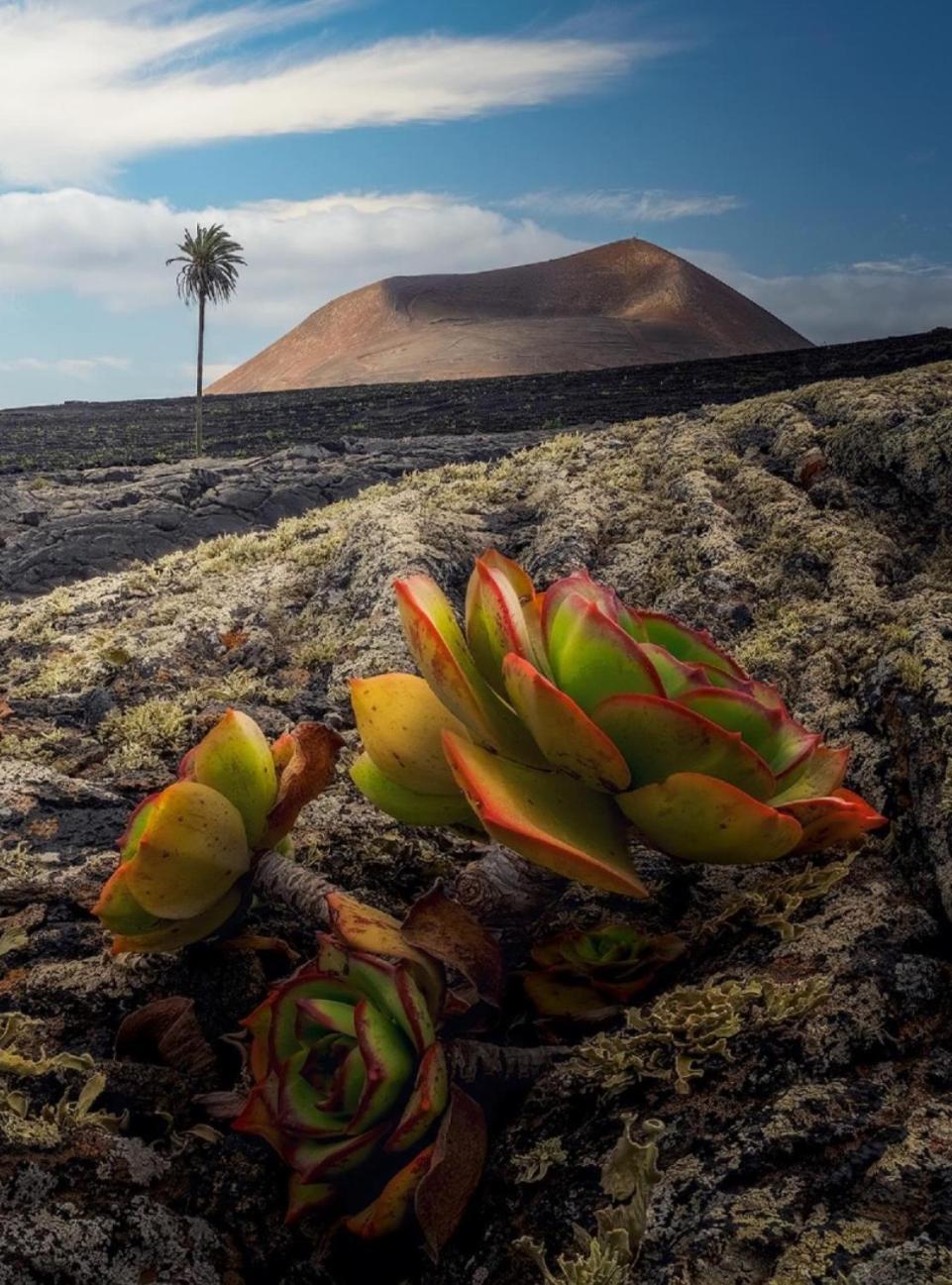 Willa Lanzarote Casa Volcanica-anclada Sobre La Lava Del Volcan Montana Blanca